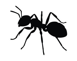 Ant silhouette illustration isolated on a white background