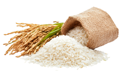 bag of rice isolated on white background