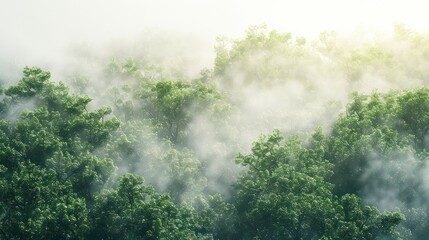 Misty Green Forest: A Serene Landscape