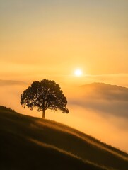 A photo of a serene hilltop with a lone tree silhouetted against a golden sunrise, and rolling fog in the valley below.