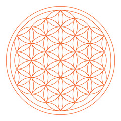 Orange outline Flower of Life. Geometric figure and spiritual symbol of the Sacred Geometry. Overlapping circles forming a flower like pattern. Illustration over white. Vector