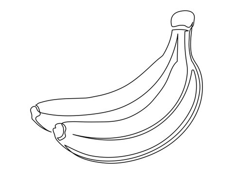 recommend clip art: Banana branch line isolated on white background. Simple silhouette of fruit. Hand drawn banana outline. Vector illustration