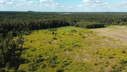 Obraz premium Natural Tree Growth in Rural Field