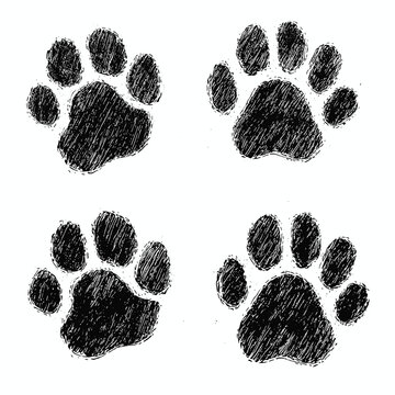 Sketched paw prints with rough texture, black and white.