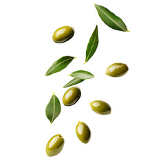 Falling olives Leaf isolated on white background, full depth of field 