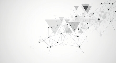 Abstract Molecules with Lines, Geometric, Polygon, Triangle pattern. Vector design network communication technology on white gray color background. Futuristic- digital science technology concept
