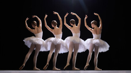 Back view full-length image of graceful elegant young girls, ballerinas in white tutus, standing in...
