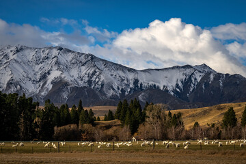 South Canterbury mountains in New Zealand.