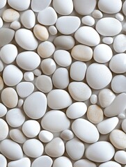 Smooth White Pebbles and Stones in Various Shapes and Sizes for Natural Decor and Design