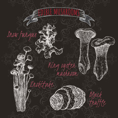 Set of sketches with snow fungus, king oyster mushroom, enokitake mushroom and black truffle on black.