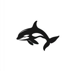 Obraz premium Orca whale silhouette, marine mammal vector illustration.