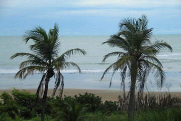 praia do coqueiro no litoral do piau&iacute;