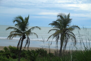 Fototapeta premium praia do coqueiro no litoral do piauí