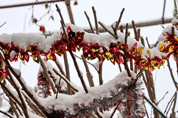 Happy New Year.Christmas tree decorations and toys for fir trees covered with snow and ice. Close-up. Merry Christmas.2024.