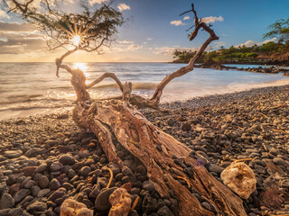 Follow me with a sundowner at the Maui Makena Beach view during summer time