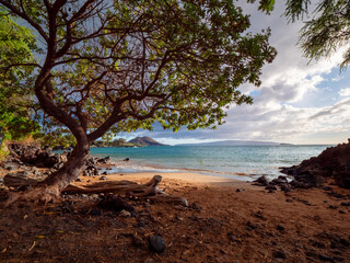 Follow me with a sundowner at the Maui Makena Beach view during summer time