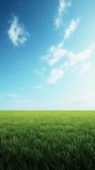 Lush Green Grass Field Against a Clear Blue Sky with Fluffy White Clouds