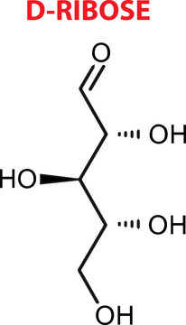 Vector Of D-Ribose Chemical Structure