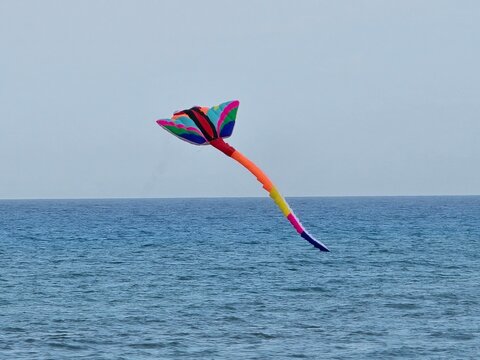 kolorowy latawiec płaszczka na tle morza i niebieskiego nieba