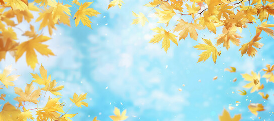 Autumn background with copy space, featuring yellow maple leaves against a blue sky backdrop.