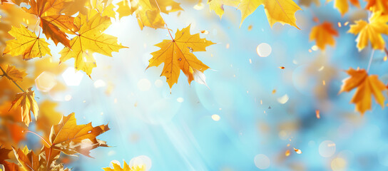 Obraz premium Autumn background with copy space, featuring yellow maple leaves against a blue sky backdrop.