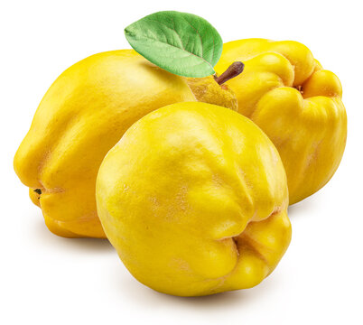 Ripe quinces with green leaves on white background. File contains clipping path.