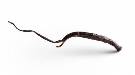 vanilla bean isolated on white background