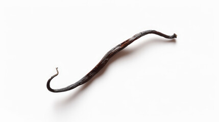 Obraz premium vanilla bean isolated on white background