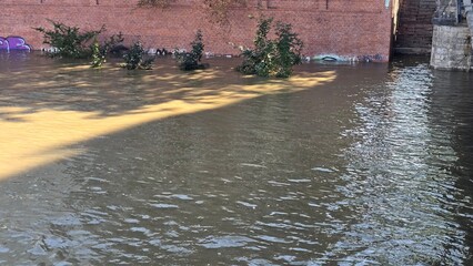 brzeg odry wysoki stan © Miroslaw