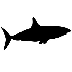 Marine animal silhouette