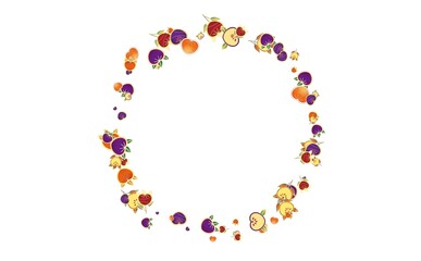 橘のフレーム　②