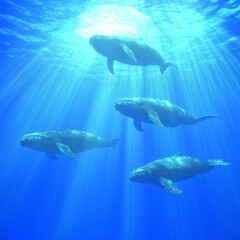 Naklejka premium Graceful Humpback Whales in Sunlit Ocean Depths