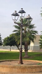 stara lampa uliczna i palmy © Miroslaw