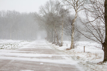 Dirt road in the snow, between the meadows, winter landscape with forest in the background