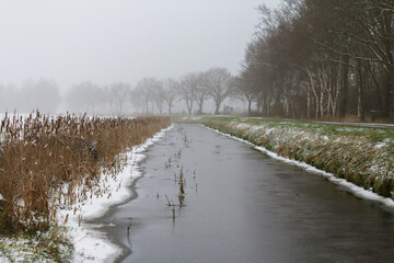 Ditch along the road with a thin layer of ice, snow on the sides of the ditch, reeds. Foggy winter...