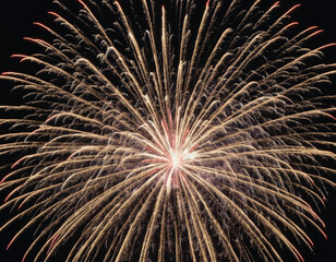 Fuochi d'artificio per un capodanno di festa