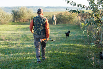 Mature hunter man holding a shotgun and walking through a field