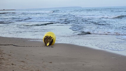 boja żółta na plaży obrośnięta muszlami © Miroslaw