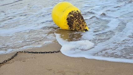boja żółta na plaży obrośnięta muszlami © Miroslaw