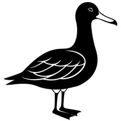 Albatross Silhouette vector illustration