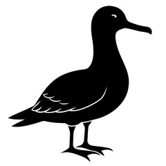 Albatross Silhouette vector illustration