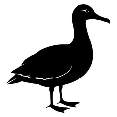Albatross Silhouette vector illustration