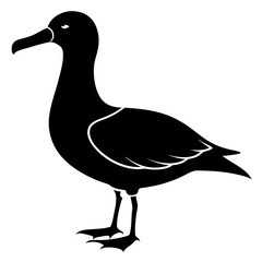 Albatross Silhouette vector illustration