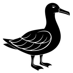 Albatross Silhouette vector illustration