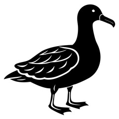 Albatross Silhouette vector illustration