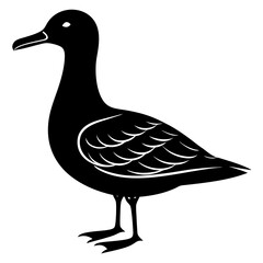 Albatross Silhouette vector illustration