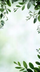 A soft-focus white backdrop with hints of green foliage, creating a dreamy and ethereal effect, evoking a calm and peaceful atmosphere.