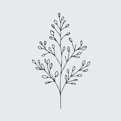 Illustrator Artwork Hand Drawn Vintage Sketch Drawing, green leaves Line Art, Plants Collection branches Floral elements, set of Botanical Illustration Outline leaf, branch Black And White leaves