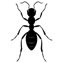 Ant Silhouette  vector illustration