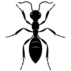 Ant Silhouette  vector illustration